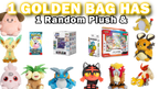 Mystery Sand Bags